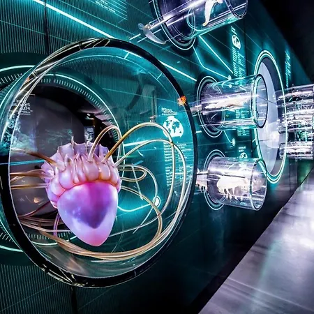 Appartement Tanuki *