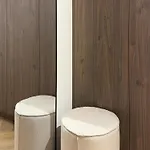 Tanuki Vratislav